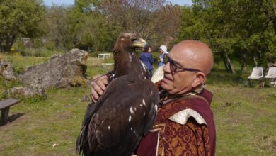 Photo of Settimana europea federiciana 2019 Domani falconieri, artisti, scrittori e finale del Palio dei quartieri