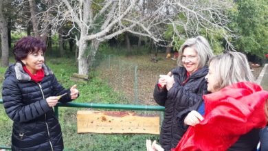 Photo of Inaugurato questa mattina all’I.C. Neglia – Savarese “Un giardino a misura di bambino”