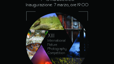 Photo of A Enna la mostra fotografica della tredicesima edizione del “International Nature Photography Competition”