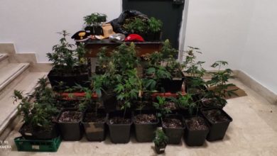 Photo of COLTIVAVA 54 PIANTE DI MARIJUANA DENTRO CASA. ARRESTATO DAI CARABINIERI UN CITTADINO DI AGIRA