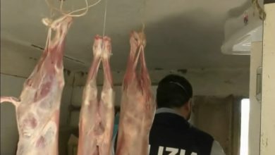 Photo of Polizia deferisce all’A.G allevatore per macellazione abusiva e detenzione di animali privi dei marchi identificativi