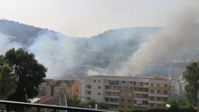 Photo of Brucia Enna Bassa. Fiamme tra le abitazioni