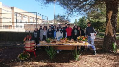 Photo of L ‘Istituto  Lincoln celebra il ciclo dell’ uva e insegna a far impresa 