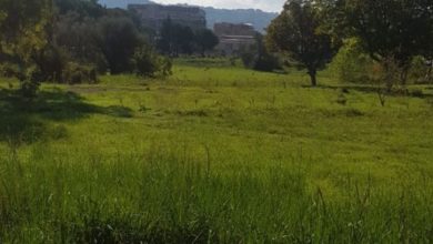 Photo of Che fine ha fatto il parco urbano di Enna Bassa? Le preoccupazioni del coordinamento