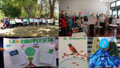 Photo of Celebrata la Giornata Internazionale della Biodiversità alla Scuola Neglia