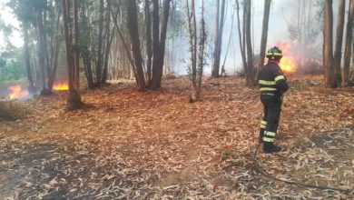 Photo of Denunciato piromane preso dopo aver appiccato il fuoco in un bosco a Sperlinga