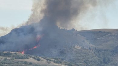 Photo of Vasto incendio in contrada Zagaria